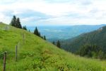 2014-07-05_Laengental-N-Hochweg (824). JPG